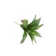 thumbnail image 5 of Decoración Artificial Del Jardín Del Hogar Del Folje Del Folje Del Agave13-Leaf Baoblaze Follaje artificial, 5 of 7