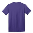 thumbnail image 2 of Furman University Paladins Classic Arch with Mascot Short Sleeve T-Shirt, 2 of 4