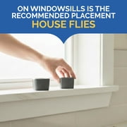Hot Shot Flying Insect Trap, Captures Fruit & House Flies, 2 Count