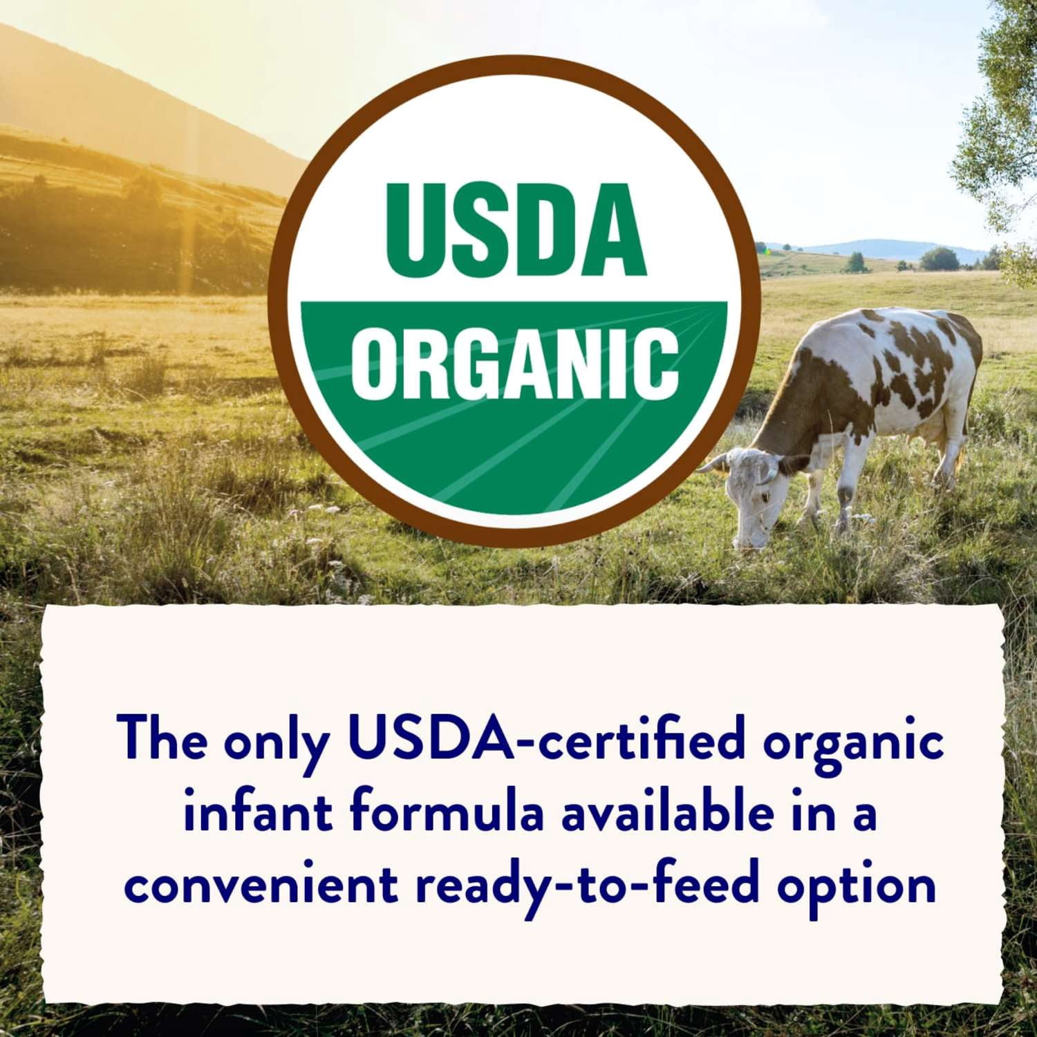 Similac Organic Baby Formula Powder, USDA-Certified Organic, 20.6-oz Tub