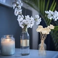 thumbnail image 5 of CIMAXIC 8pcs Aromatherapy Rattan Sticks Aromatherapy Accessories Flower Rattans,8.66"X1.77"X1.77", 5 of 5