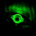 thumbnail image 1 of Splihome Led Four Color Fishing Lure Lamp For Deep Sea Rotatable Sea Fishing Spotlight green, 1 of 6
