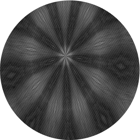 Ahgly Company Machine Washable Indoor Round Transitional Charcoal Black Area Rugs, 5' Round