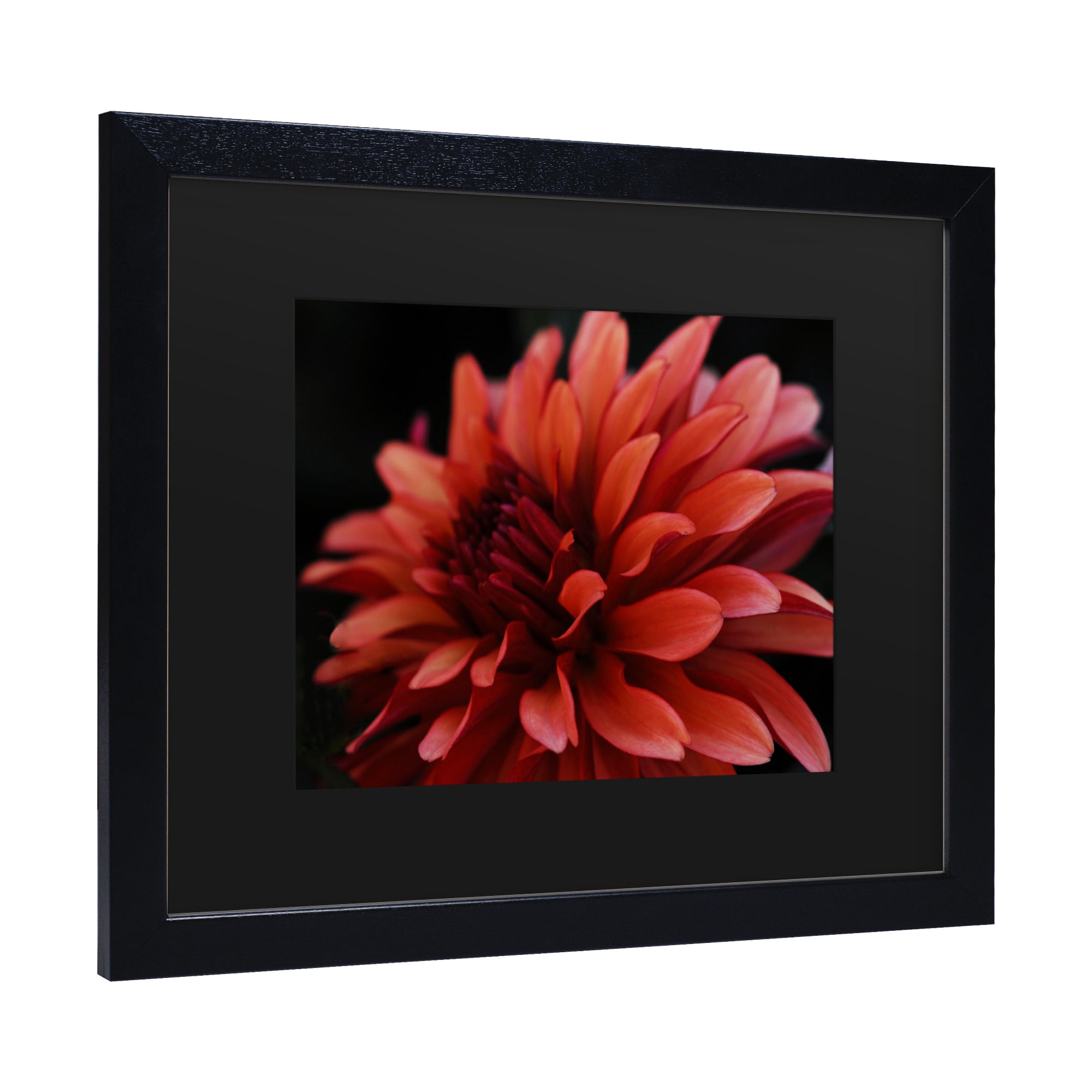 Trademark Fine Art 'Red Dahlia' Canvas Art by Kurt Shaffer