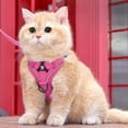 thumbnail image 4 of Pet Supplies Cat Harness and Leg Protectors with Escape-Proof Adjustable Soft Mesh Suitable for Various Cat Vest Types Providing Comfort and Security for Your Feline Companion, 4 of 4