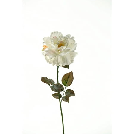 D&W Silks - Cream Ample Rose Stem - Set of 3