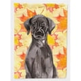 thumbnail image 1 of Carolines Treasures BB9503GF Black Labrador Fall Flag Garden Size, 1 of 3