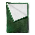 thumbnail image 2 of Forest Green Soft Flannel Fleece Throw Blanket, Abstract Pattern with Color Wave in Green Shades Ombre Effect, Cozy Plush for Indoor and Outdoor Use, 50" x 70", Forest Green Pale Green, by Ambesonne, 2 of 5
