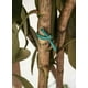 Luster Leaf 868 0868 Soft Stretch Tie, 4mm x 100', Vert – image 4 sur 5