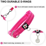 azuza Reflective Dog Collar Super Soft Neoprene Padded Dog Collars with ID Tag Ring for Small Medium Large Dogs
