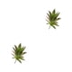 thumbnail image 4 of Billuyoard Suculentas artificiales respetuosas con la piel Belleza sin preocuparse por la irritación Planta artificial MM215 Otoño MM215 Otoño 2piezas, 4 of 6