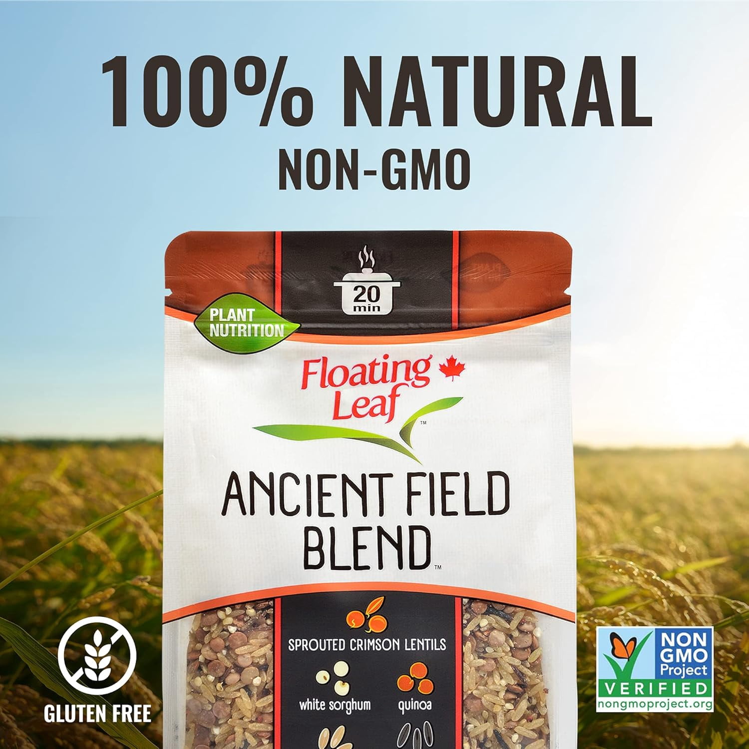 Floating Leaf Ancient Field Blend Rice 14 oz (Pack Of 6)