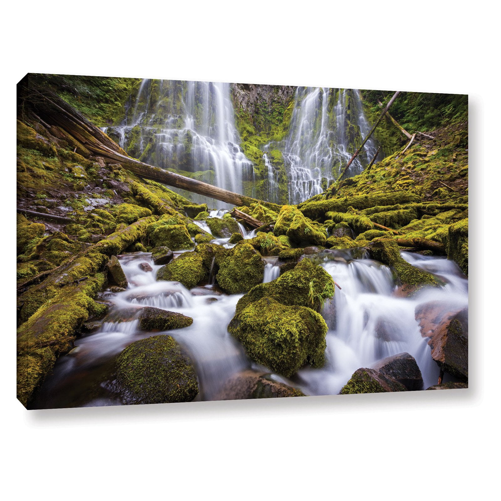 Proxy Falls Oregon 2