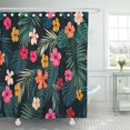 thumbnail image 1 of ABPHQTO Patrón tropical con flores de hibisco brillantes y hojas de palmera exóticas en la cortina de ducha de baño oscura 165x180 cm ABPHQTO PKNMT66x72Shower-7685, 1 of 2