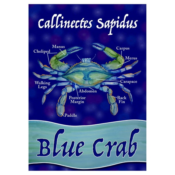 Toland Home Garden Chesapeake Blue Crab Flag Walmart Com Walmart Com