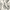 Gray, variant on Better Homes & Gardens 100% Cotton Ditsy Leaf Teal, 2 Yard Precut Fabric