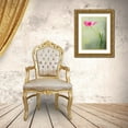 thumbnail image 3 of D Lester, Linda 25x32 Gold Ornate Wood Framed with Double Matting Museum Art Print Titled - Spring Tulip, 3 of 4