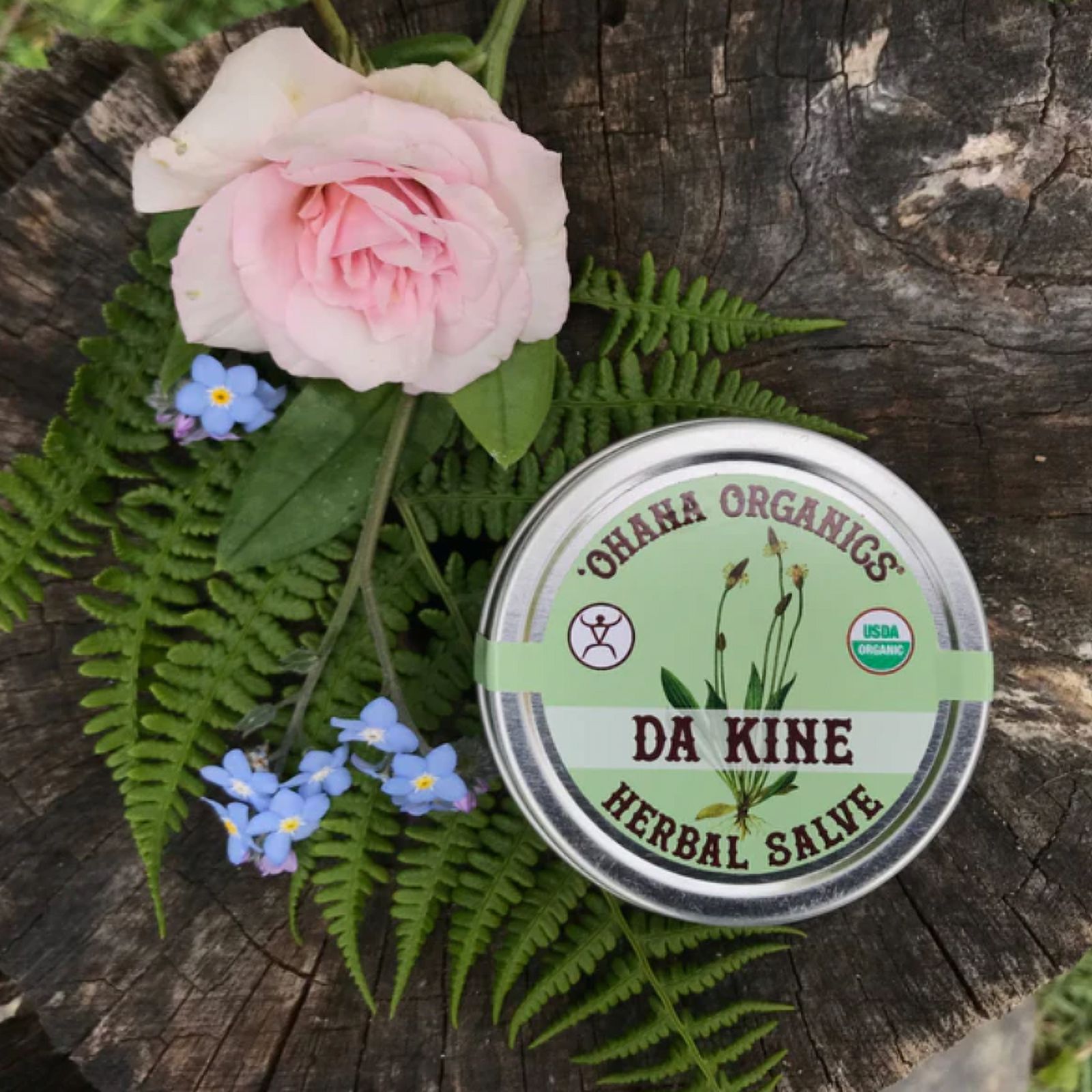 'Ohana Organics Summer First Aid Kit- Includes 2 oz Da Kine Salve, 1 oz Bug Balm, 1 oz Handi Sani, & 1 oz First Aid Spray-