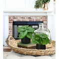 thumbnail image 2 of 3PCS Artificial Plants Potted Mini Fake Plants in Black Ceramic Pots Faux Greenery Plants Home Decor, 2 of 6