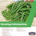 thumbnail image 4 of Harris Seeds - Treated Pea Seeds Knight Variety Non-GMO Tender Long Pods Green Berries 100 Seeds, 4 of 7