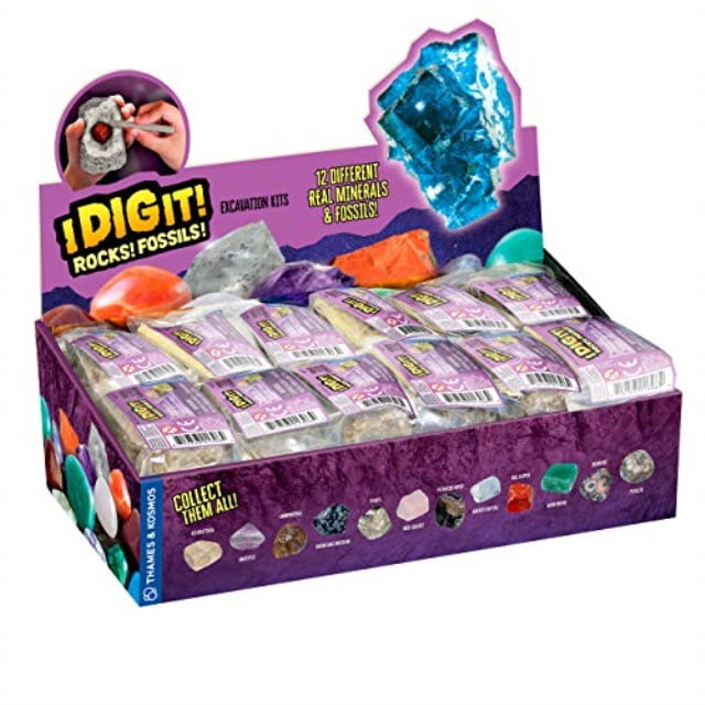 Thames & Kosmos I Dig It! Rocks & Fossils - 24 Mini Excavation Kit Gift Set - Walmart.com