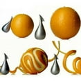 thumbnail image 5 of Alessi "Apostrophe"18/10 Matte Stainless Steel Orange / Cirtus Peeler, 5 of 7