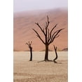 thumbnail image 2 of Kaveney, Wendy 23x32 White Modern Wood Framed Museum Art Print Titled - Namibia, Namib-Naukluft, Deadvlei Misty Morning, 2 of 4