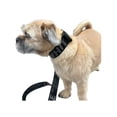 thumbnail image 2 of Correa y Collar PETMAX color negro, 2 of 3