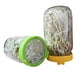 thumbnail image 4 of Kearding Tapa de botella de almacenamiento de cultivo de brotes de frijol de acero inoxidable, contenedor de verduras para el hogar, cocina, Verde, 4 of 6