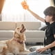 thumbnail image 2 of Juguete Para Perros De Látex Con Forma De Ojo Grande, Que Emite Sonidos Y Es Fácil De Limpiar, 2 of 6