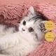 thumbnail image 5 of Labymos Cama de lana para perros esponjosa, 5 of 7
