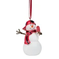 thumbnail image 1 of Snowboy Ornament, 1 of 1