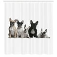 thumbnail image 3 of Ambesonne Bulldog Shower Curtain, Young Doggies Photo, 69"Wx84"L, Black White Beige, 3 of 3