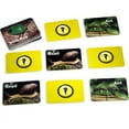 thumbnail image 2 of Picture Memory Insects & Bugs Card Game Real Photo Concentration Game, 2 of 8