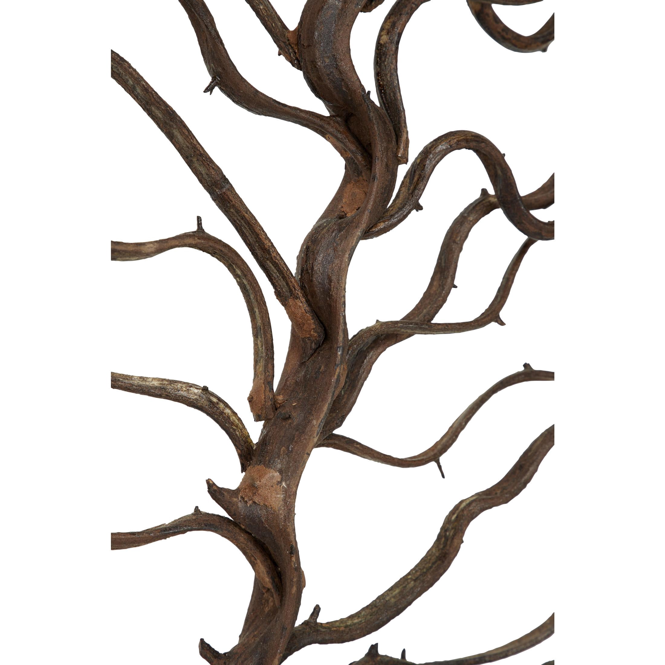 DecMode Brown Teak Wood Branch Tree Wall Decor with Black Frame