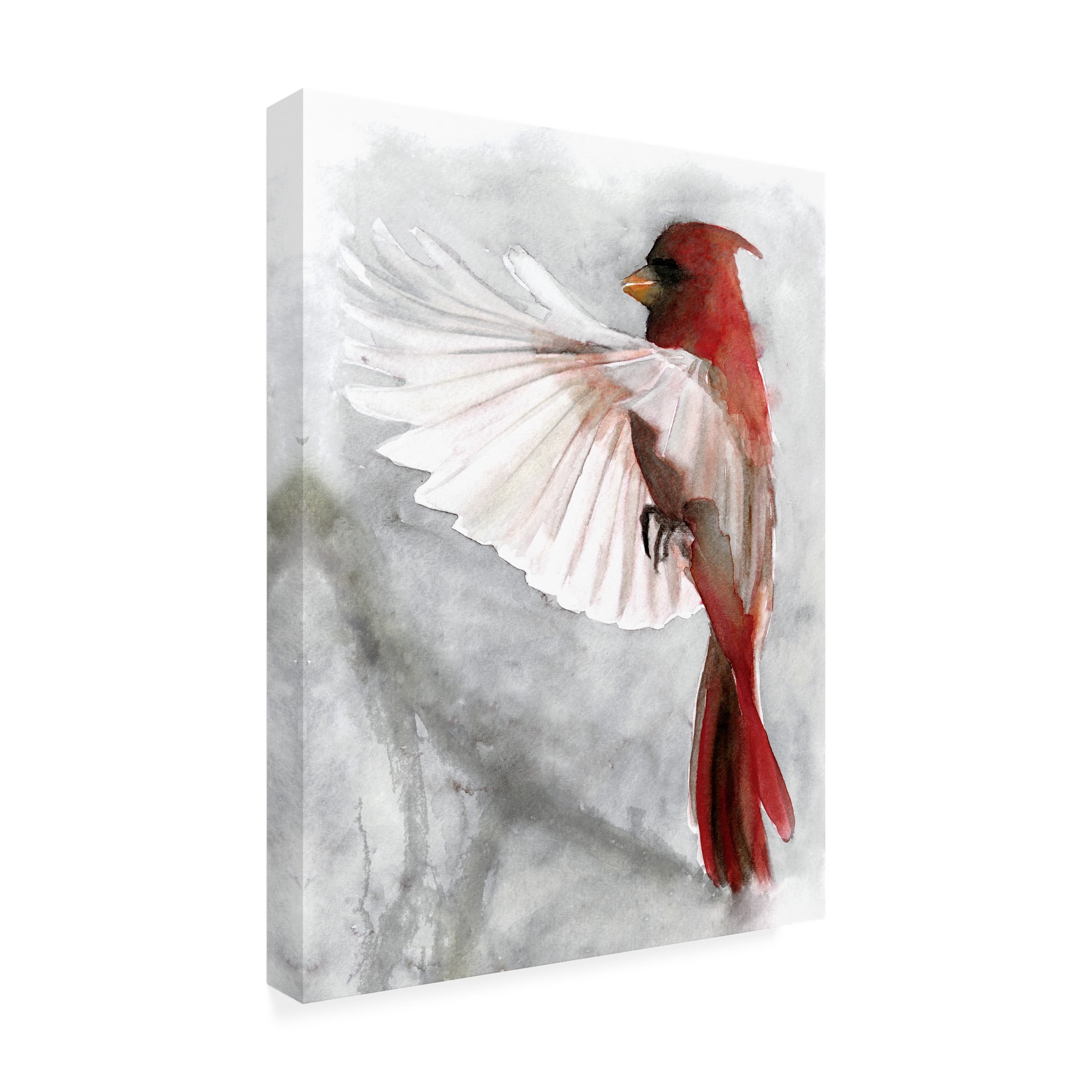 Stellar Design Studio 'Cardinals II' Canvas Art