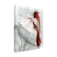thumbnail image 2 of Stellar Design Studio 'Cardinals II' Canvas Art, 2 of 3