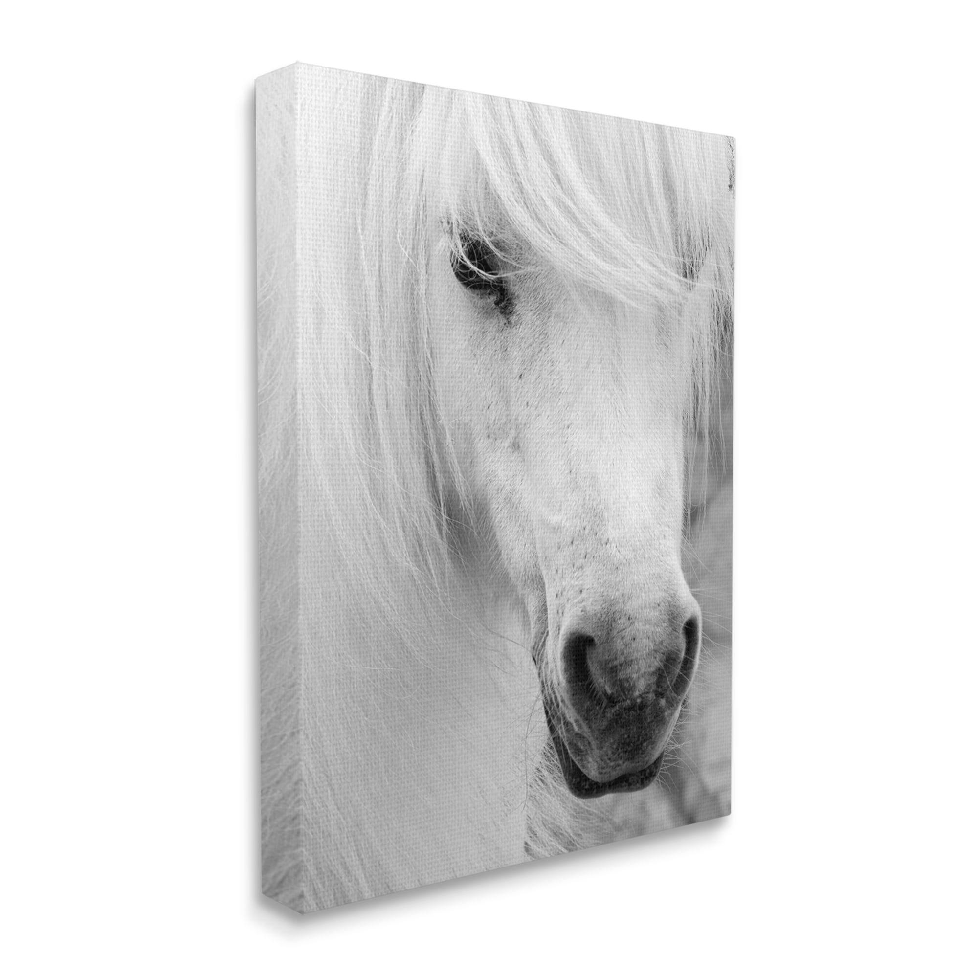 Stupell Industries White Horse Close Up Animals & Insects Photography Gallery Wrapped Canvas Art Print Wall Art, 16 x 20
