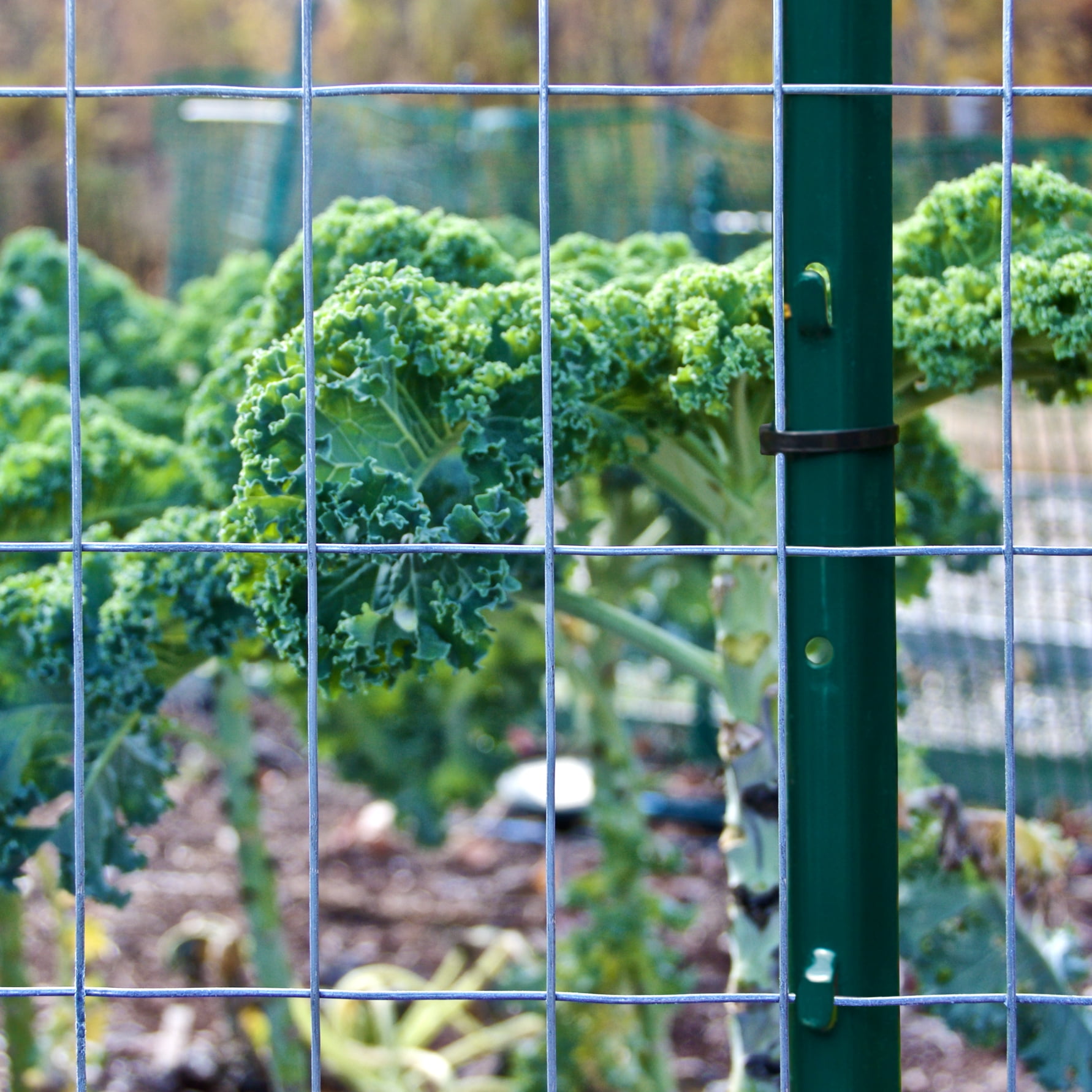 Heavy Duty Garden Wire Galvanised PVC Fencing Plant Support Gardening DIY 