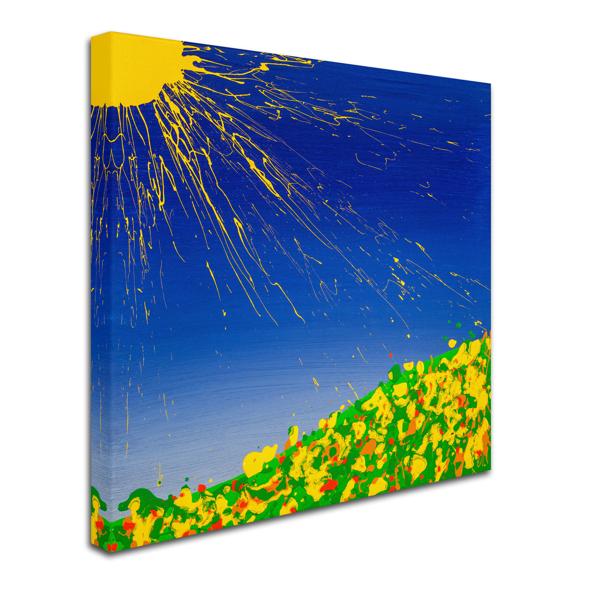 Trademark Fine Art "Sunny Field" Canvas Art by Roderick Stevens