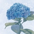 thumbnail image 2 of Blue Hydrangea IV Poster Print by Beth Grove, 2 of 2