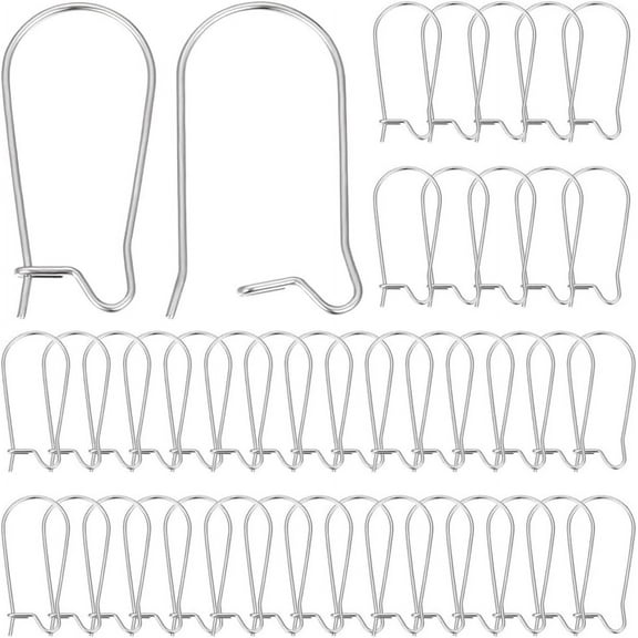 120pcs 316 Surgical Stainless Steel Hook Earring Findings Kidney Ear Wire Stainless Steel color 21 Gauge 25x17mm Pin: 0.7mm
