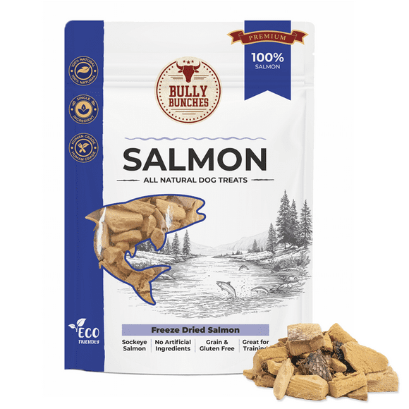 Bully Bunches Freeze Dried Salmon (100g) - Human Grade