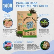 Organo Republic Cape Forget-Me-Not Seeds – 1,400+ Non-GMO Heirloom Seeds, 3g Packet for Planting Flowers Indoors & Outdoors, Pollinator-Friendly Blue Blooms for Home Garden