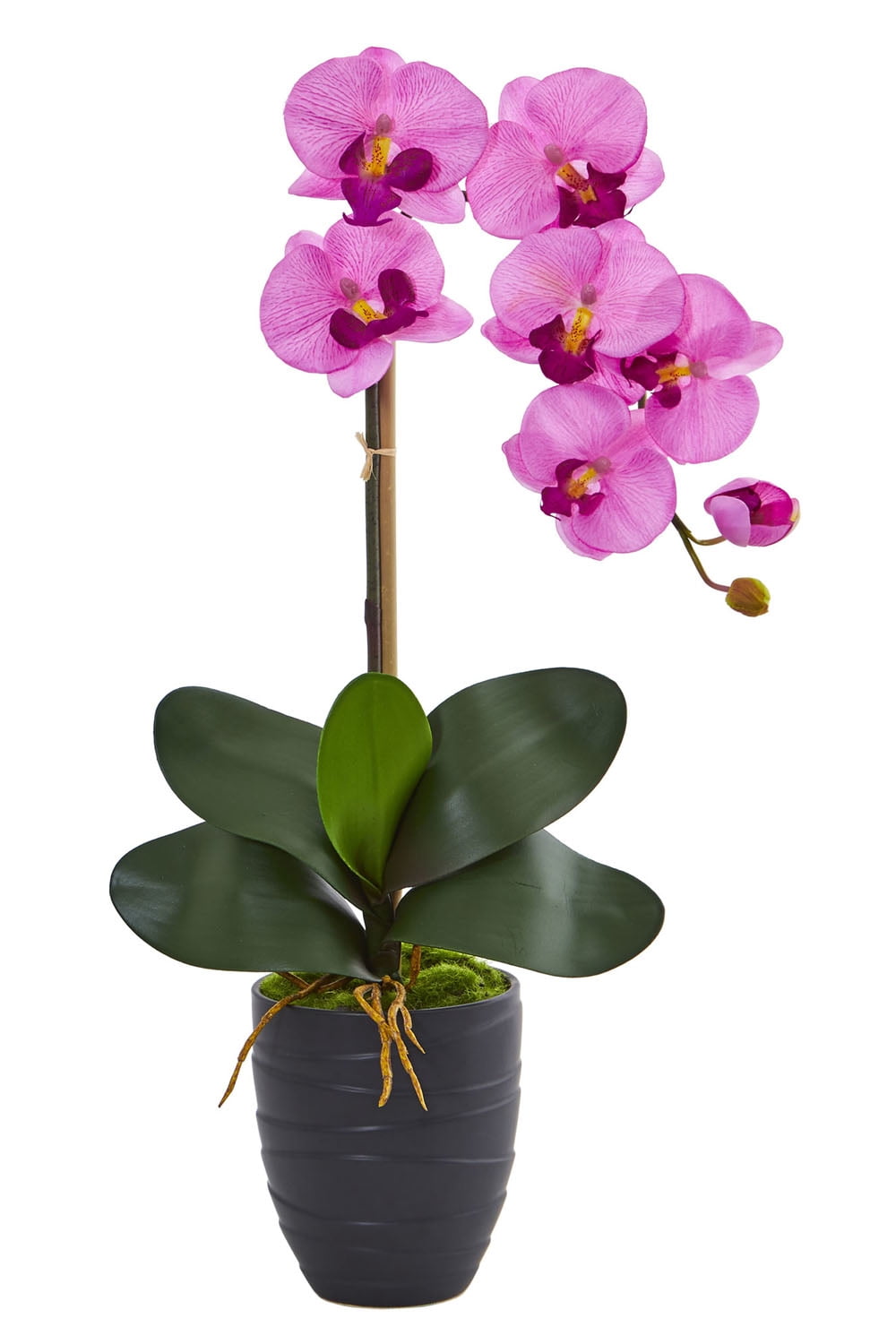 Phalaenopsis Orchid Artificial Arrangement In Ceramic Black Vase Walmart Com Walmart Com