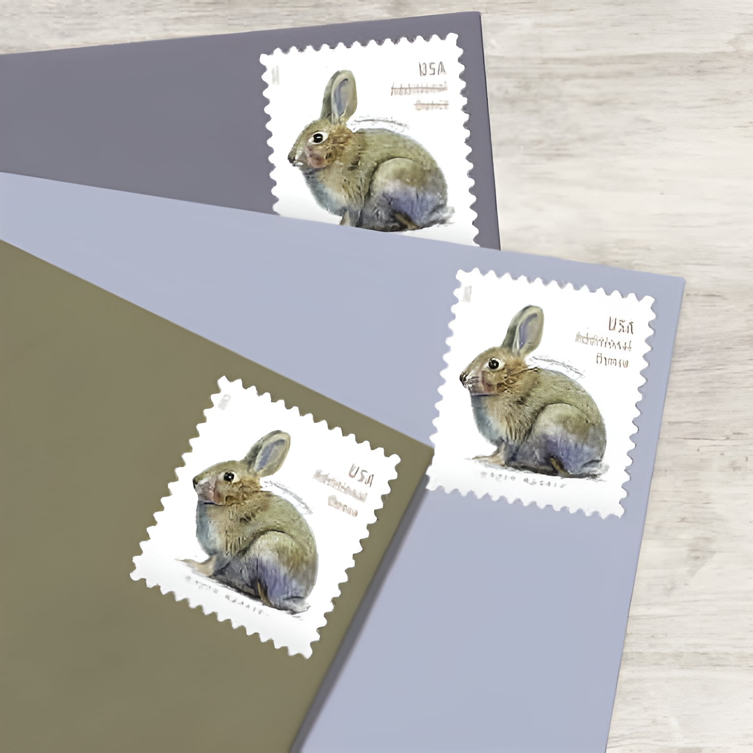 Brush Rabbit ADDITIONAL OUNCE Rate USPS Postage Stamp 1 Sheet of 20 US First Class Postal Country Farm Wedding Celebration Anniversary Party (20 Stamps)
