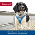 thumbnail image 4 of Arnés para perros Coastal Soft Reflectivo Ajustable Azul 1,6 x 40-48 cm, 4 of 7