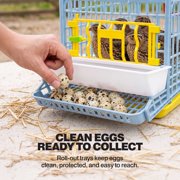 Hatching Time Quail Cage - 1 Section (Power-Washable, Durable, ABS Plastic) | Cimuka