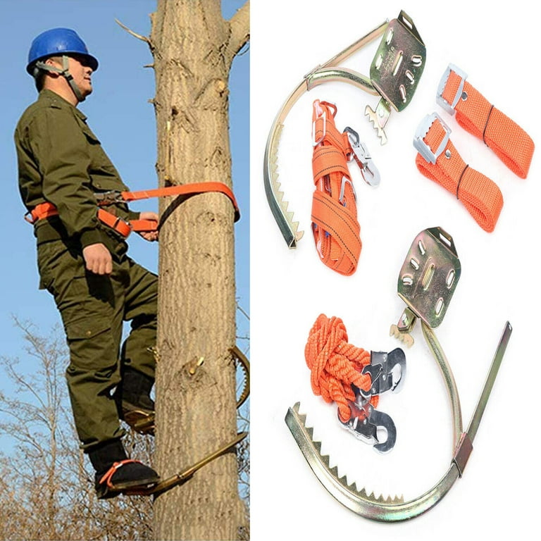 2-Gears Tree Climbing Tool , Adjustable Tree Climbing Spikes Set, 150kg Pole  Climbing Spike with Safety Belt for Fruit Picking 