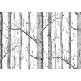 thumbnail image 2 of Seamless Tiling Birch Tree Wall Decal by Wallmonkeys WM359137 (36 in W x 26 in H), 2 of 4